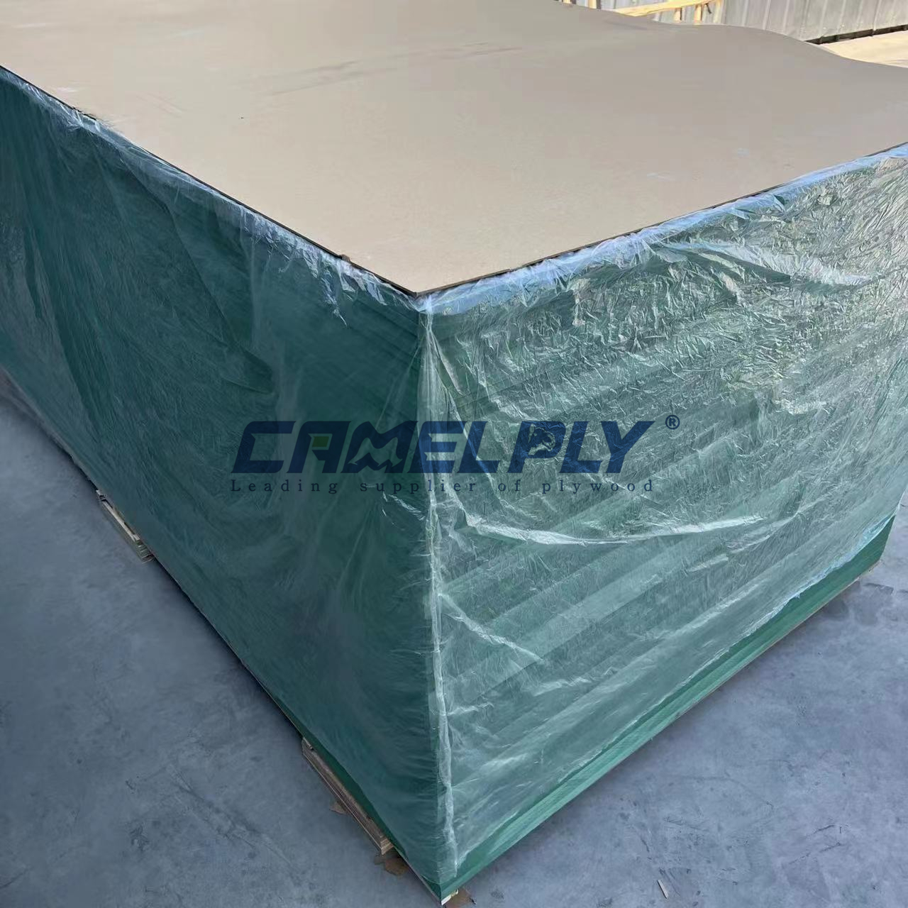 M.R（GREEN） MDF