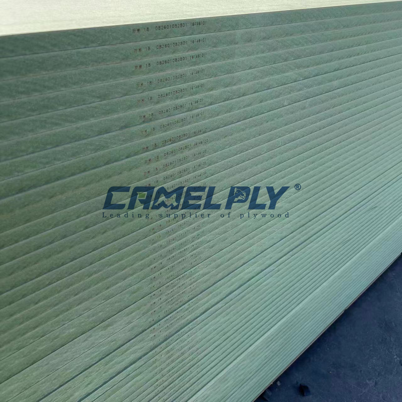 M.R（GREEN） MDF