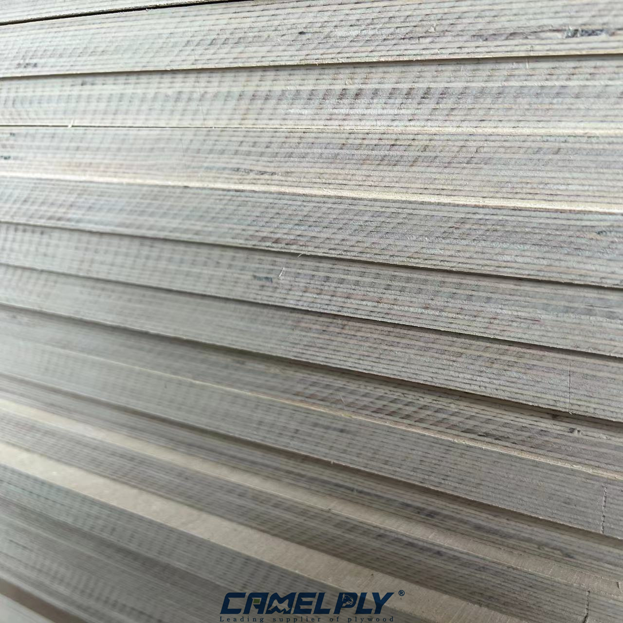 HEXA ANTI-SLIP PLY