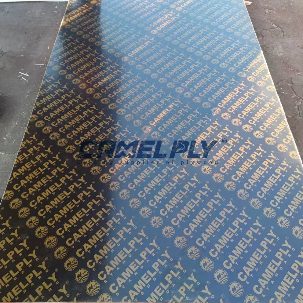 CAMELPLY - STANDARD