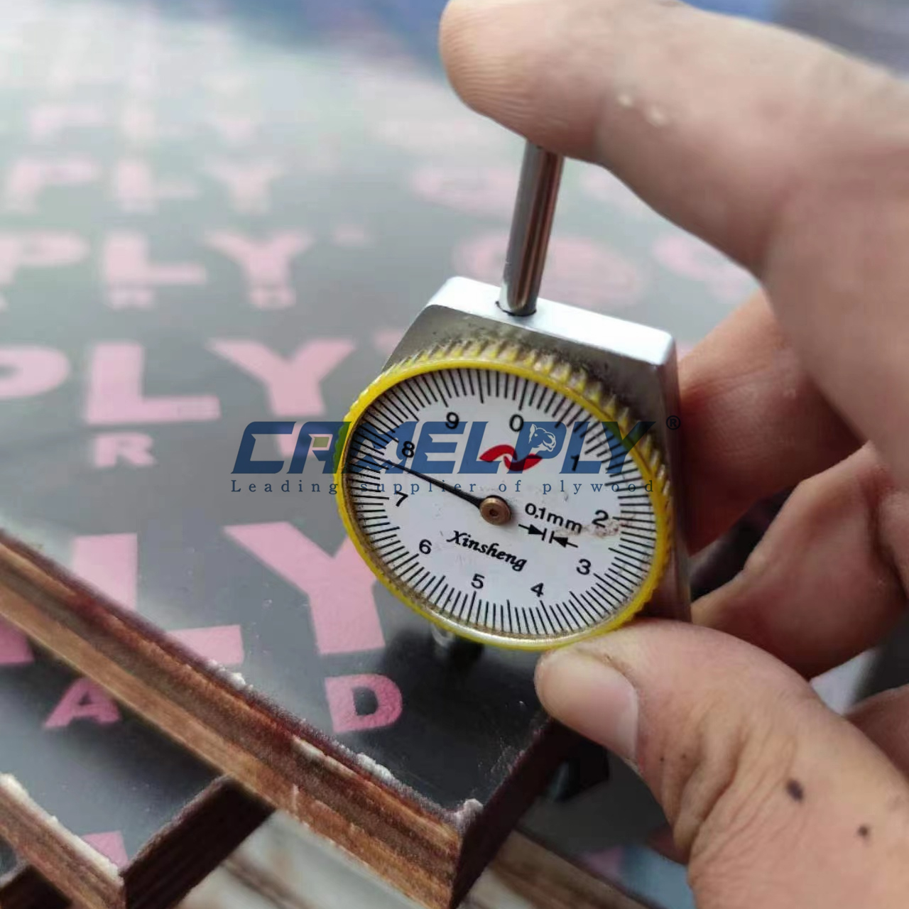 CAMELPLY - STANDARD