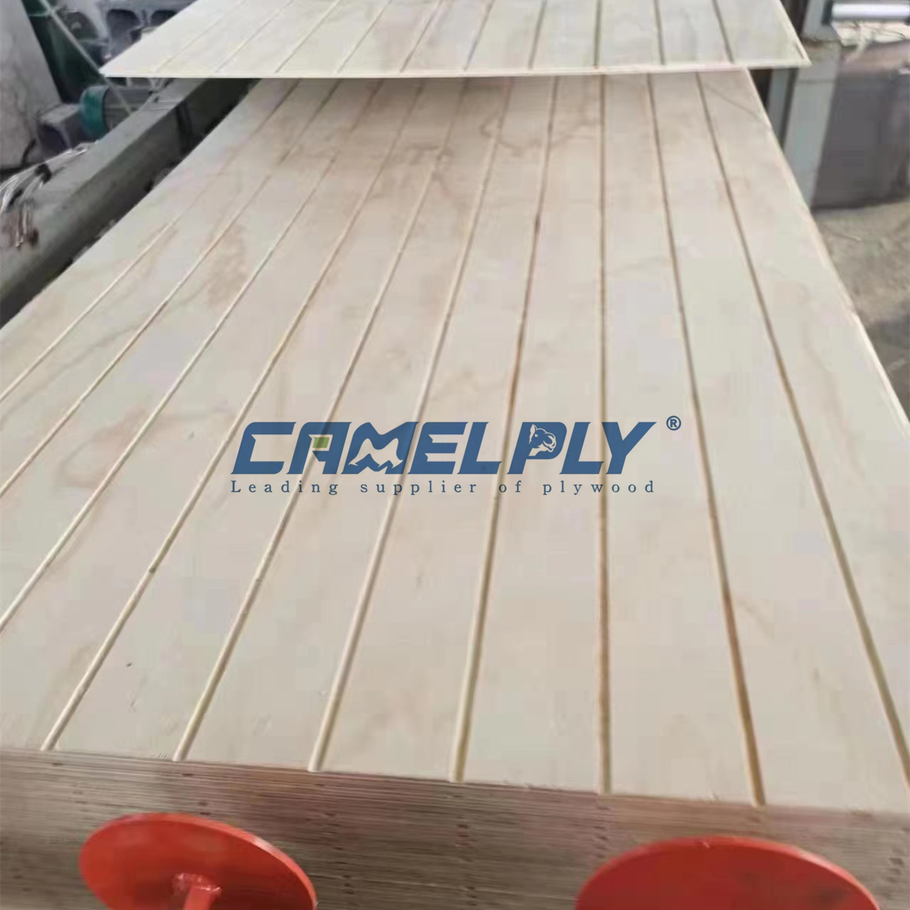 GROOVE PLY