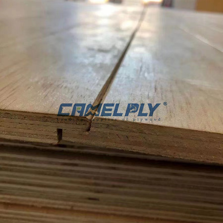 GROOVE PLY
