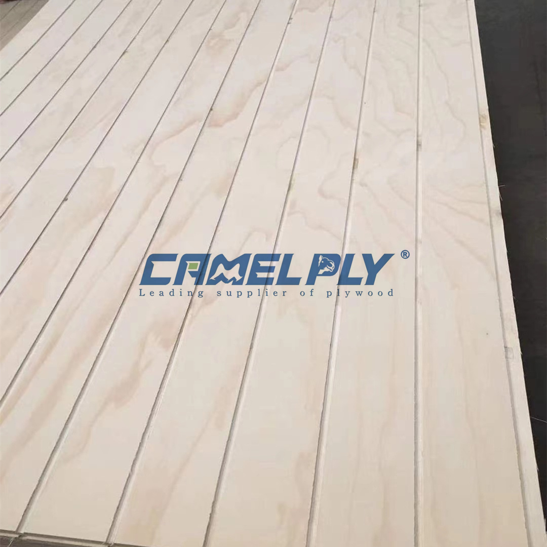 GROOVE PLY