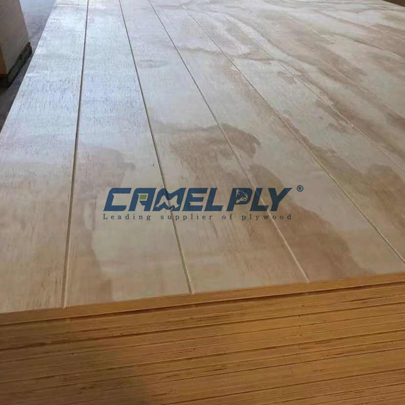 GROOVE PLY