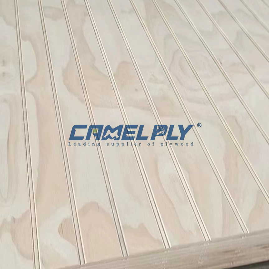 GROOVE PLY