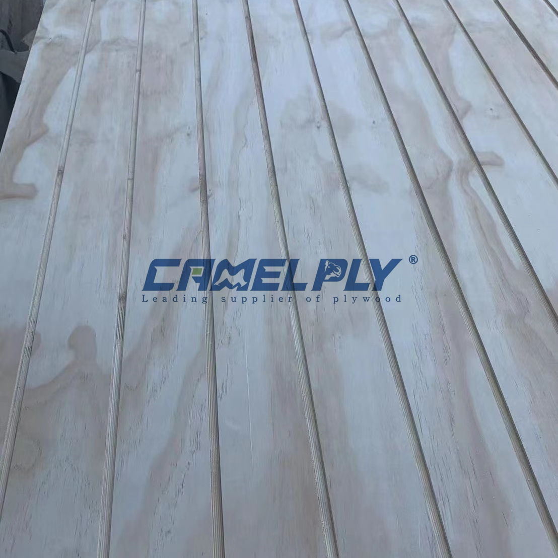 GROOVE PLY