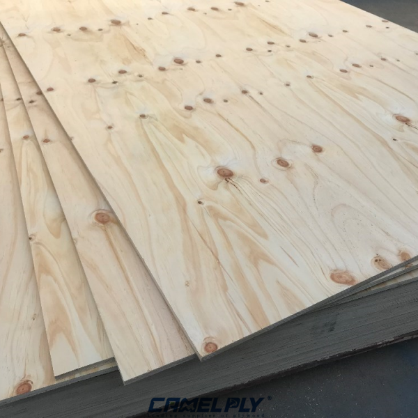 CDX PINE PLYWOOD