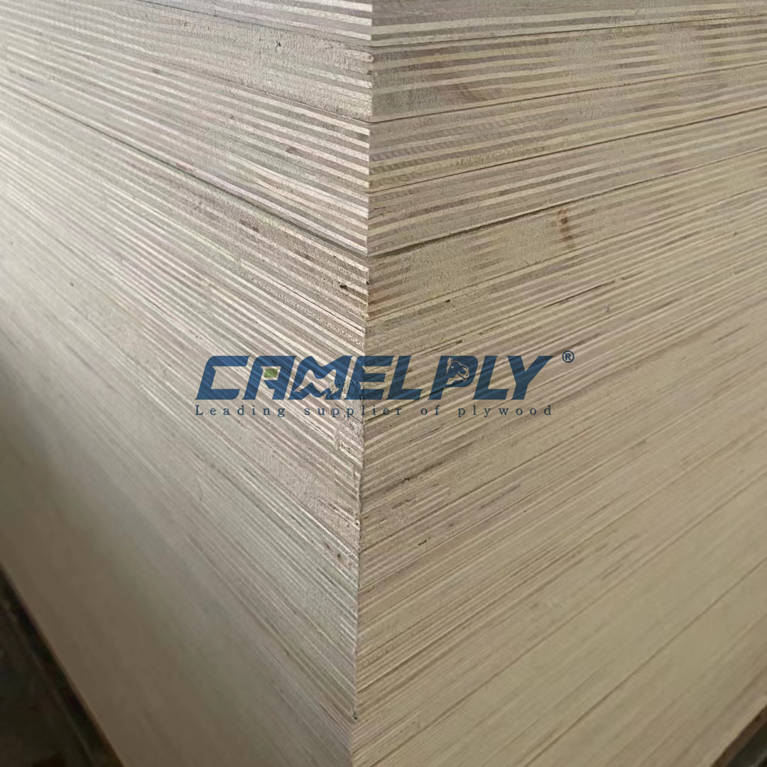 CDX PINE PLYWOOD