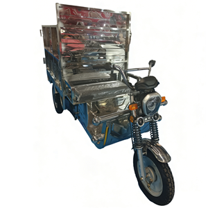 TH160S electric sanitation tricycle 1.6m stainless steel - rust-proof waste collection vehicle for municipal use
