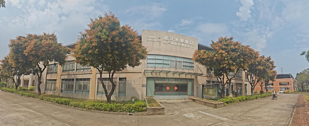 图片展示