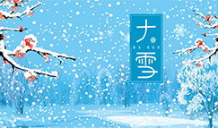 大雪节气 | 林表明霁色，城中增暮寒。