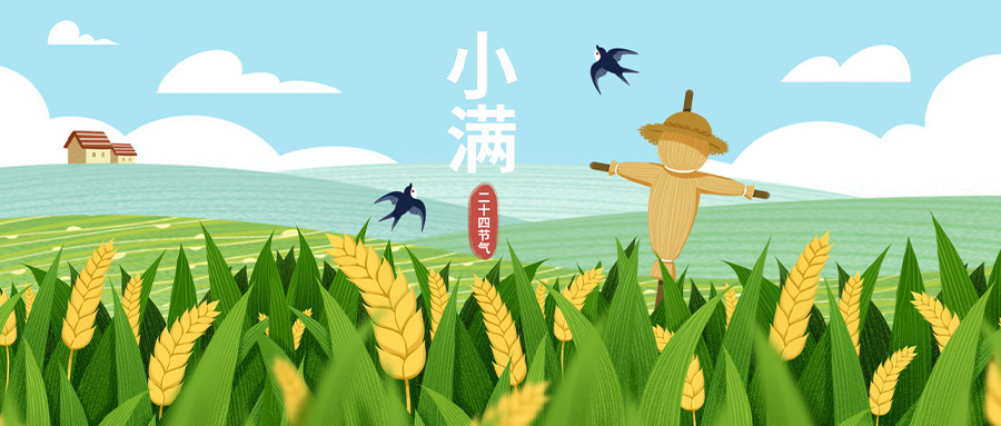 小满 | 小有可期，小得盈满。