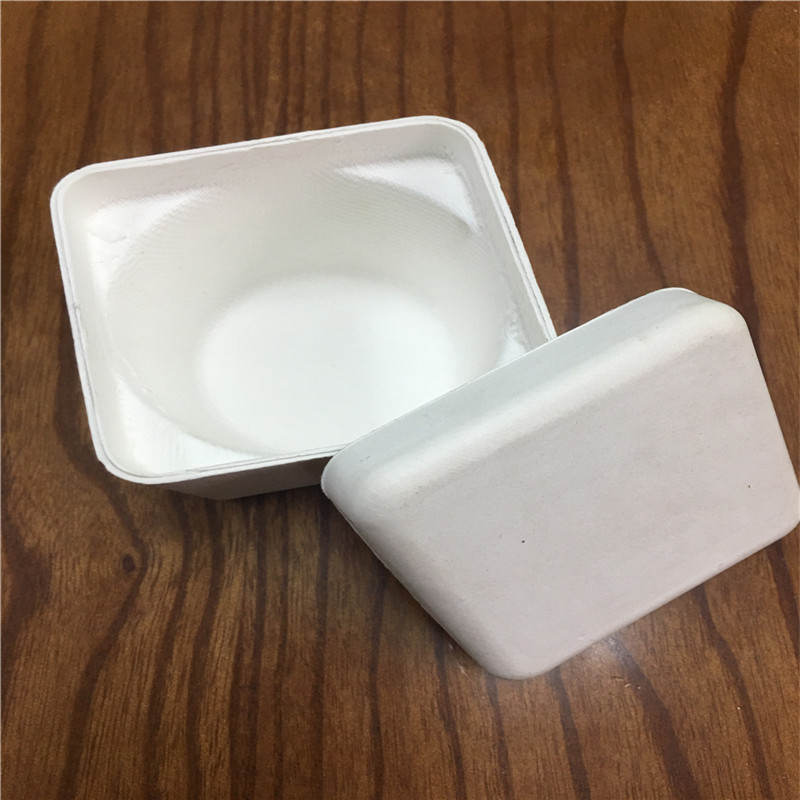 湿压精品纸托20