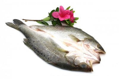 Perch