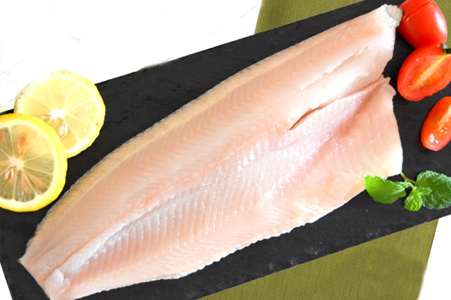 Snakehead Fillet