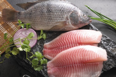 Tilapia and fillets