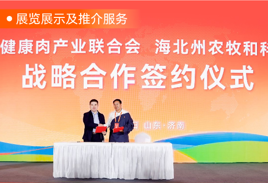 图片展示