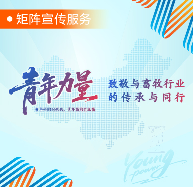 图片展示