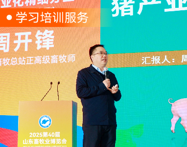 图片展示