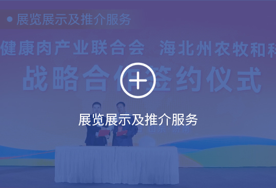 图片展示