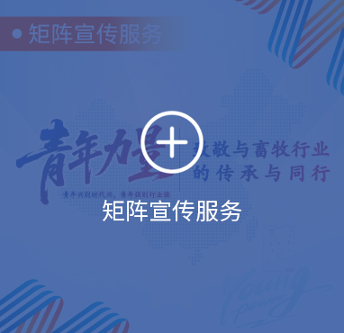 图片展示