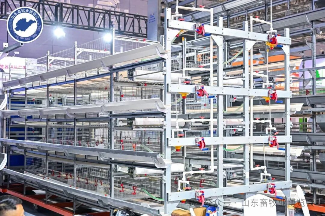 图片展示