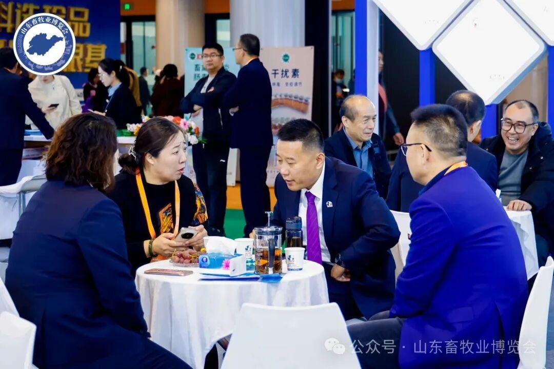 图片展示