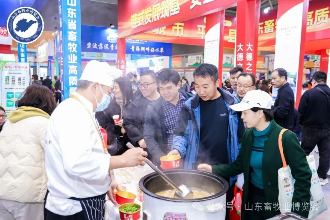 图片展示