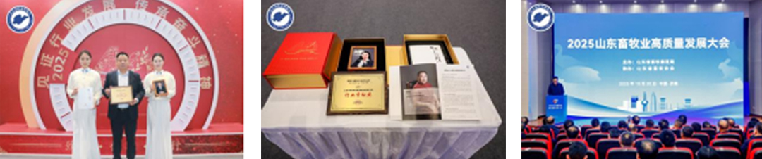 图片展示