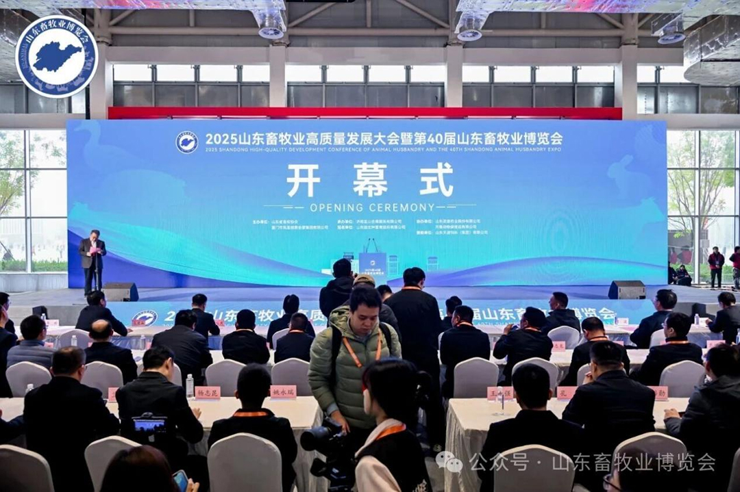 图片展示