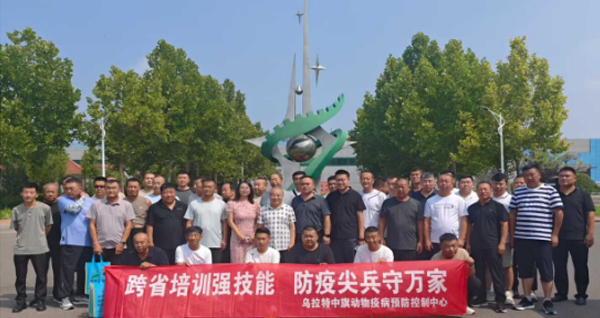 图片展示