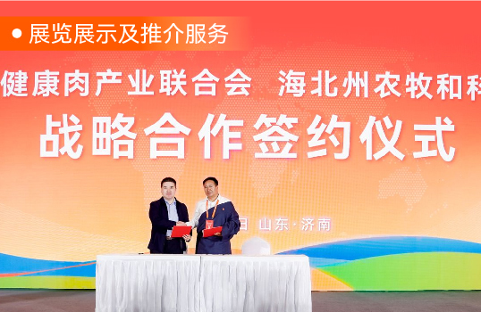 图片展示