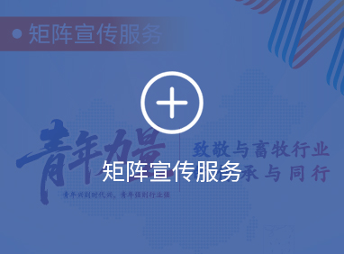 图片展示