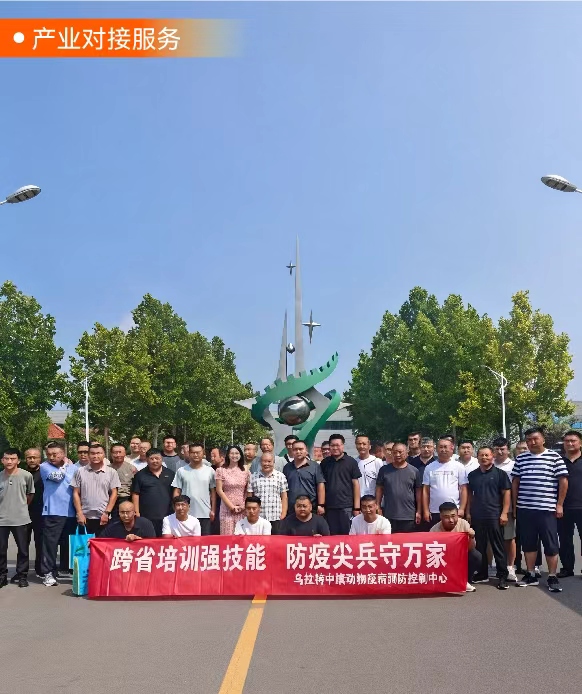 图片展示