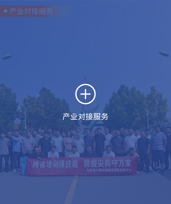 图片展示