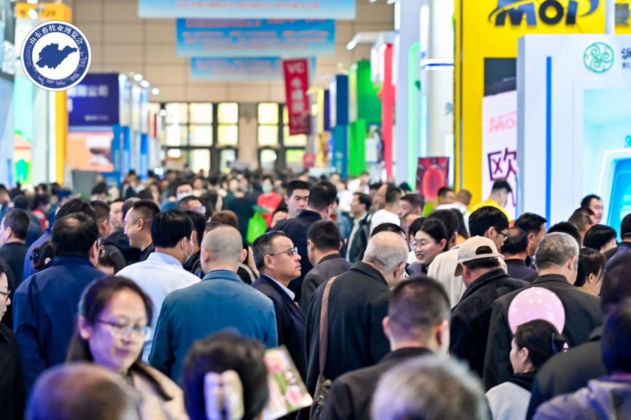 图片展示