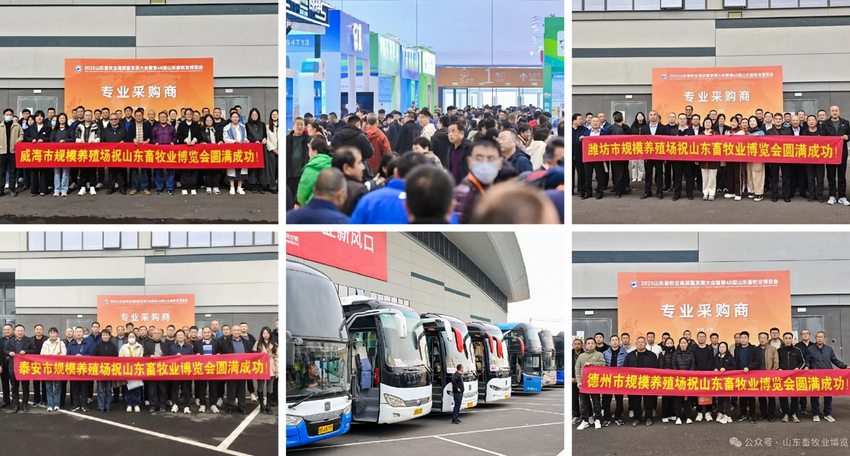 图片展示