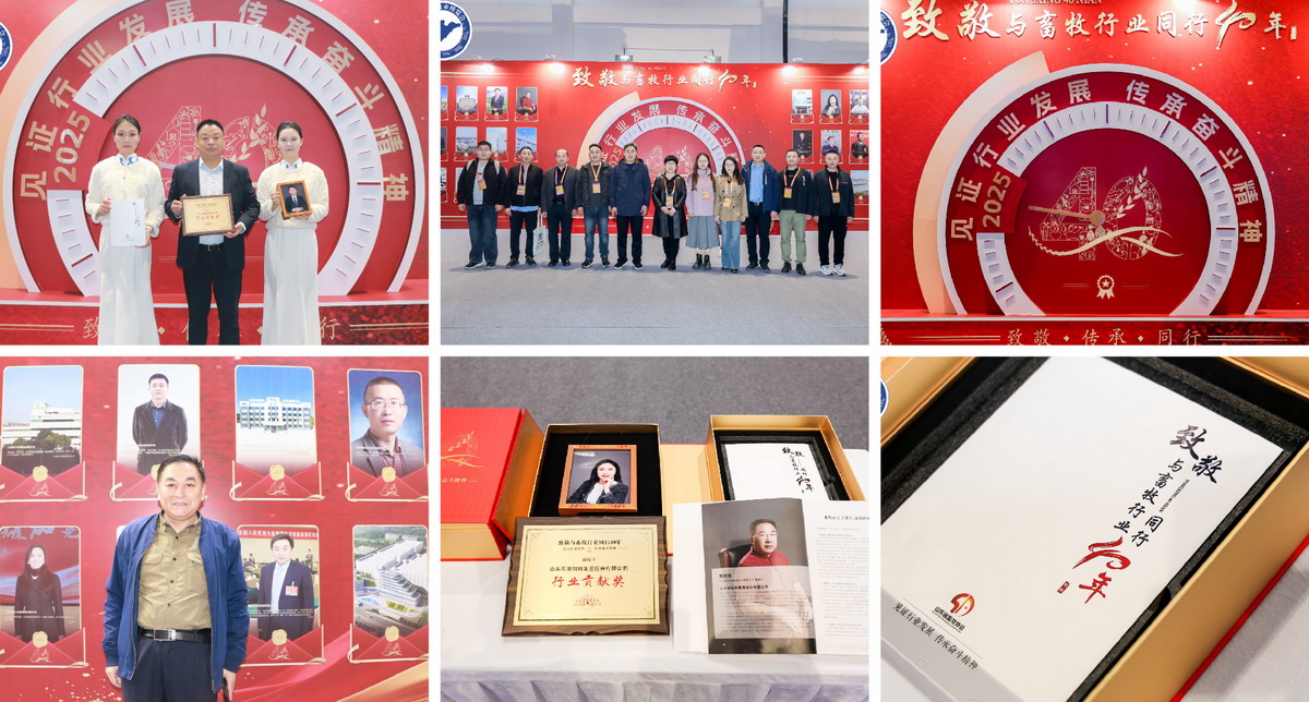 图片展示