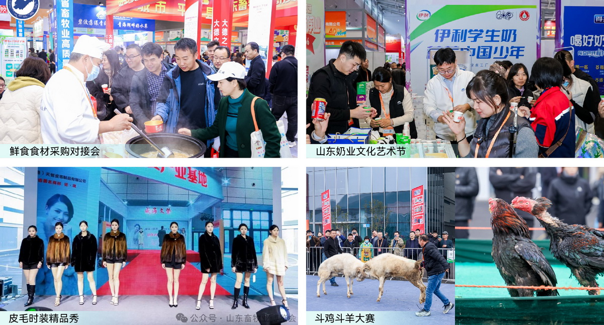 图片展示