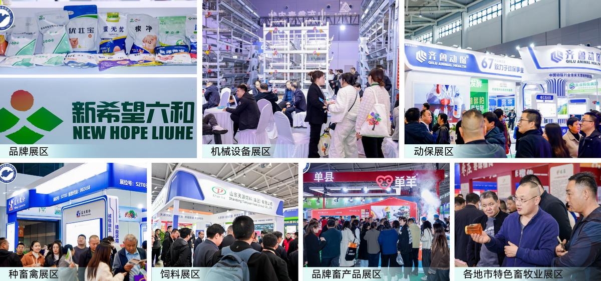 图片展示