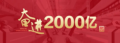 喜报！我司荣获国家专精特新“小巨人”