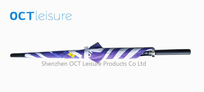 OCT-HC01
