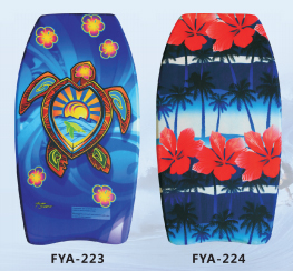 FYA223, FYA224