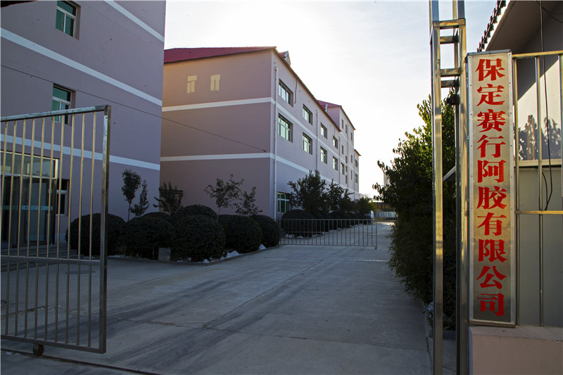 赛行厂区1