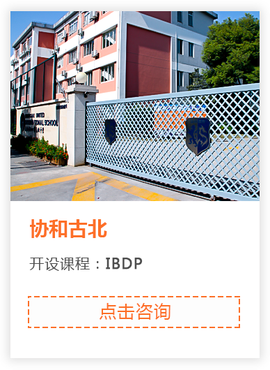 国际高中学校_17