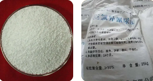 印度对涉华三氯异氰尿酸发起反倾销调查--马来西亚转口规避!