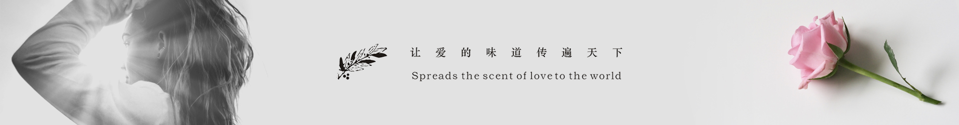 图片展示