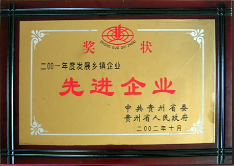 Development of advanced township enterprises in 2001