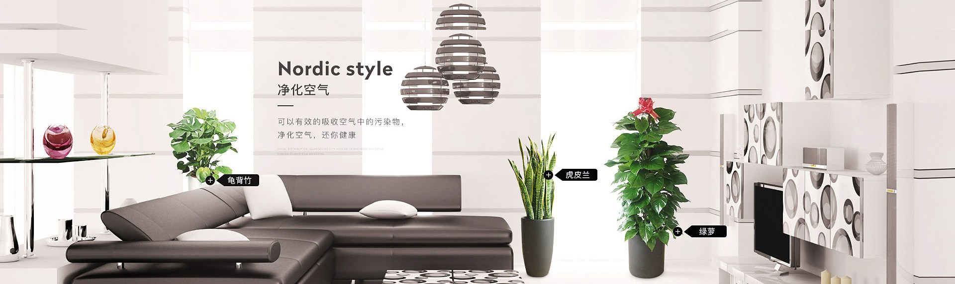 绿植出租
